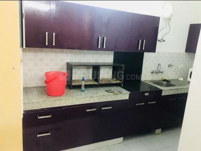 Kitchen Image of 2152 Sq.ft 2 BHK Builder Floor for rent in Gomti Nagar Lucknow for Rs. 19000
