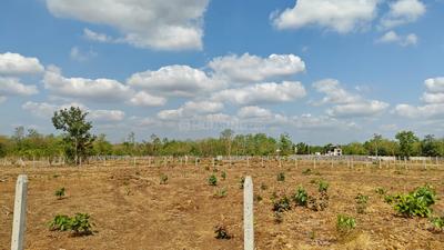 Image of 11809 Sq.ft Residential Plot / Land for sale in Murbad, Thane for Rs. 2018000