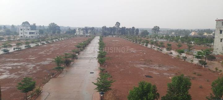 RAK Felicity Main Image 1