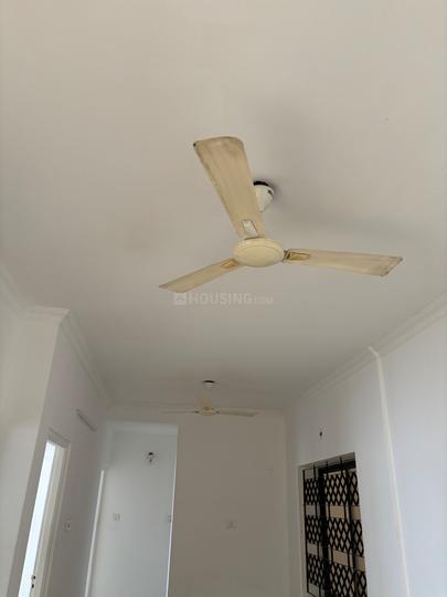 Thumbay Main Image 1