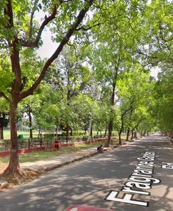 Image of 3200 Sq.ft 7 BHK Independent House for sale in Sector 36, Chandigarh for Rs. 135000000