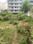 Block B, Sector 56 Plot View 2