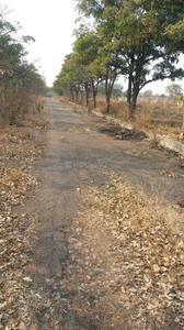 Residential Plot
