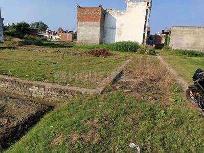 Joya Plot View 1