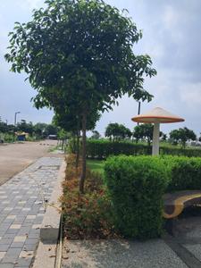 Image of 800 Sq.ft Residential Plot / Land for sale in Mamta Golden Valley, Balya Kheda, Indore for Rs. 4400000