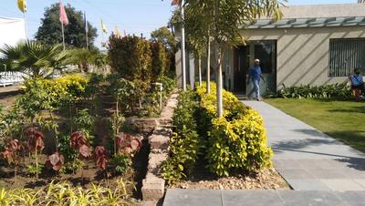 Image of 1760 Sq.ft Residential Plot / Land for sale in Bodri, Bilaspur for Rs. 2640000