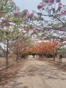 Image of 1672 Sq.ft Residential Plot / Land for sale in Chandapura, Bengaluru for Rs. 7942000