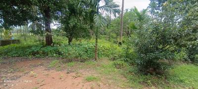 Brahmavar Plot View 3