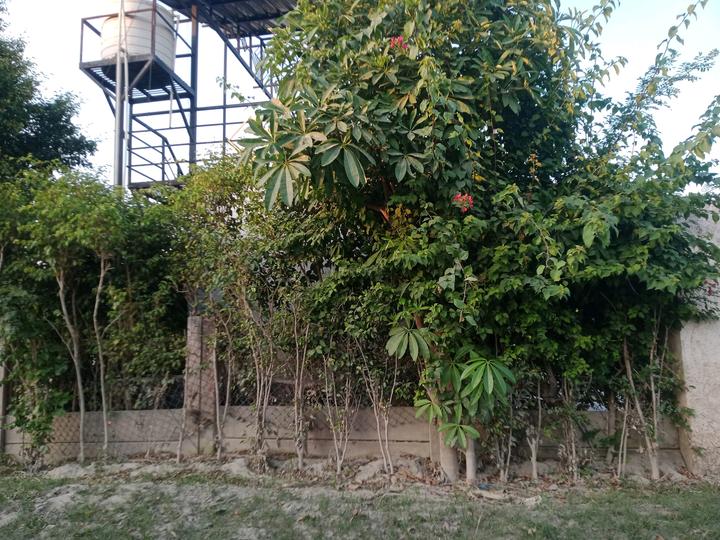 SS Sainik Farms Main Image 1