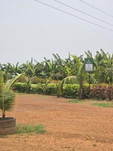 Image of 10000 Sq.ft Residential Plot / Land for sale in Kumhari, Bhilai for Rs. 6051000