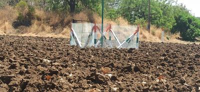 Agricultural Land
