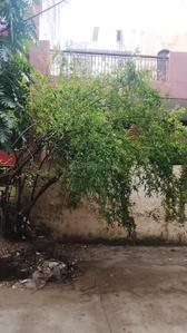 Image of 1530 Sq.ft 3 BHK Villa for sale in Pitampura, New Delhi for Rs. 140000000
