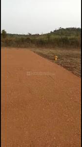 Image of 2200 Sq.ft Residential Plot / Land for sale in Trisulia, Cuttack for Rs. 3300000