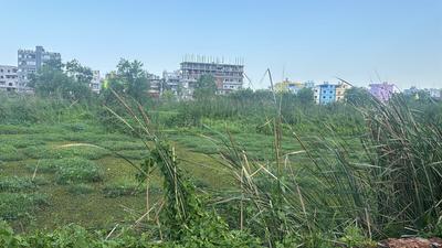 Hansapal Plot View 2
