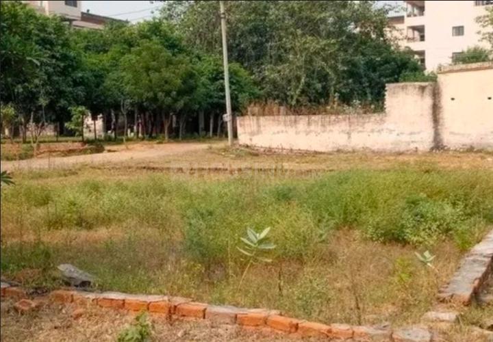 Sector 115 Main Image 1