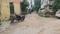 NEW PALAM VIHAR PHASE 2 Main Image 1