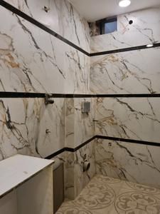 Common Bathroom Image of 600 Sq.ft 2 BHK Apartment / Flat for sale in Mahavir Enclave New Delhi for Rs. 5700000