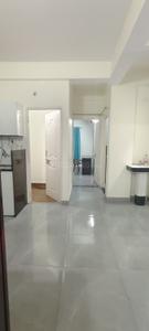Hall Image of 1200 Sq.ft 3 BHK Apartment / Flat for rent in Ayodhya Bypass Bhopal for Rs. 23000