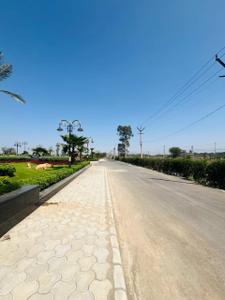 Image of 1075 Sq.ft Residential Plot / Land for sale in Velora Midtown, Banur, Mohali for Rs. 8121920