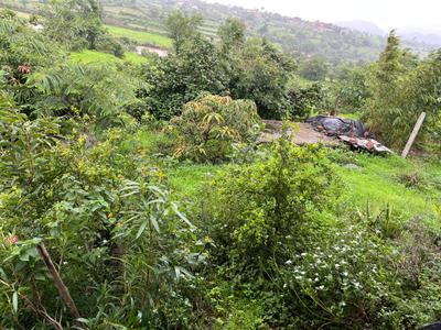 Image of 5000 Sq.ft 1 BHK Independent House for sale in Rajgurunagar, Pune for Rs. 5000000