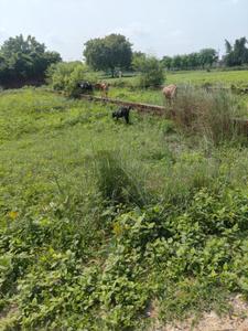 Image of 4080 Sq.ft Residential Plot / Land for sale in Mohansarai, Varanasi for Rs. 10500000
