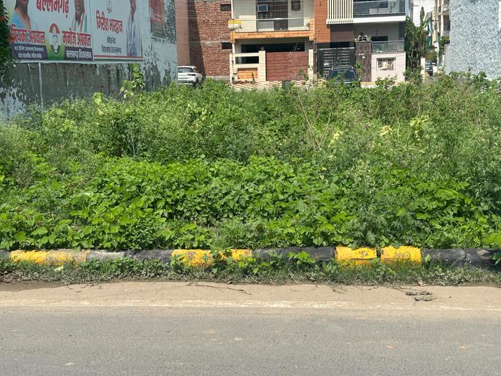 Sector 65 Main Image 1
