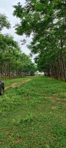 Image of 2268 Sq.ft Residential Plot / Land for sale in Kamkole, Sangareddy for Rs. 2000000