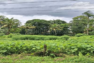 Image of 19491 Sq.ft Residential Plot / Land for sale in Irinjalakuda, Thrissur for Rs. 30000000