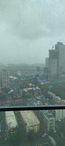 Balcony Image of 1000 Sq.ft 2 BHK Apartment / Flat for rent in Salsette 27, Byculla Mumbai for Rs. 165000