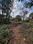 Siolim Plot View 2