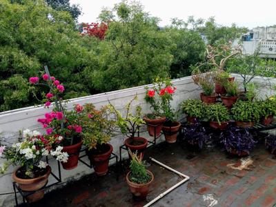 Image of 3762 Sq.ft Residential Plot / Land for sale in Sector 128, Noida for Rs. 200000000