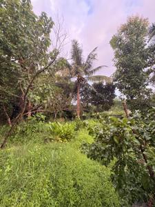Image of 2200 Sq.ft 3 BHK Farm House for sale in Katapady, Udupi for Rs. 12500000