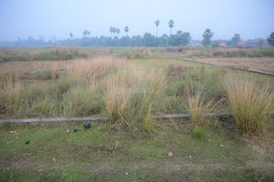 Image of 1200 Sq.ft Residential Plot / Land for sale in Ganawan, Patna for Rs. 3000000