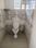 Sector 7, HSR Layout Bathroom 1
