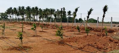 Image of 13000 Sq.ft Residential Plot / Land for sale in Konalai, Tiruchirappalli for Rs. 1250000