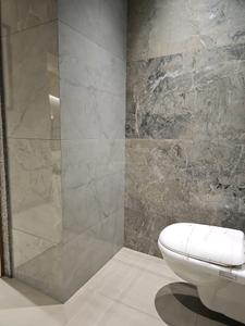 Common Bathroom Image of 2100 Sq.ft 3 BHK Apartment / Flat for sale in Gagan Avencia, Kharadi Pune for Rs. 24000000