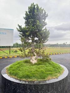 Image of 167 Sq.ft Residential Plot / Land for sale in Bhogapuram, Visakhapatnam for Rs. 5344000