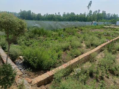 Image of 1029 Sq.ft Residential Plot / Land for sale in Gangoh, Saharanpur for Rs. 1200000
