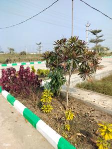 Image of 136 Sq.ft Residential Plot / Land for sale in Mangalagiri, Guntur for Rs. 4500000