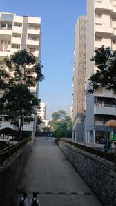 Image of 510 Sq.ft 1 BHK Apartment / Flat for rent in Namrata Eco City, Talegaon Dabhade, Pune for Rs. 10000