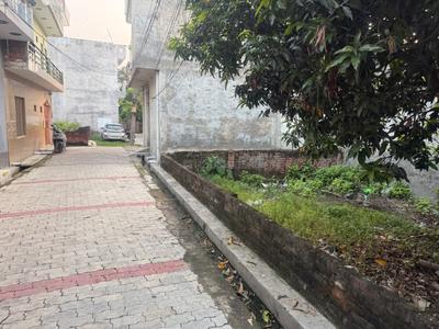 Para Plot View 2