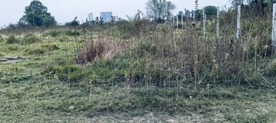Image of 6163 Sq.ft Residential Plot / Land for sale in DLF New Town Heights, New Town, Kolkata for Rs. 5500000
