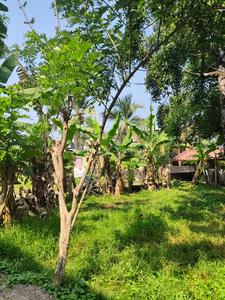 Image of 3484 Sq.ft Residential Plot / Land for sale in Kangarappady, Kochi for Rs. 6400000