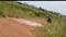 Patrapada Plot View 2