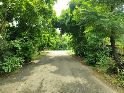 Image of 220 Sq.ft Residential Plot / Land for sale in Eachachhar, Greater Noida for Rs. 39000000