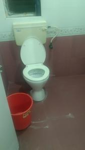 Image of 1258 Sq.ft 2 BHK Villa for rent in Tharamani, Chennai for Rs. 40000