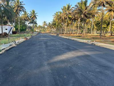 Madaragalli Plot View 3