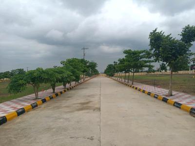 Hampton Palms Internal Roads 1