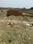 Chandmari parmanandpur Plot View 2