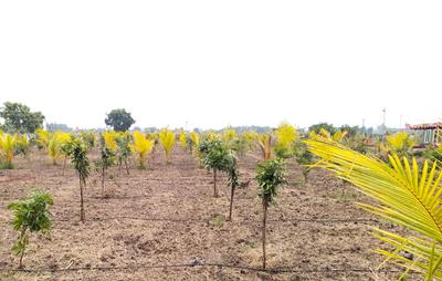 Image of 9600 Sq.ft Residential Plot / Land for sale in Sri Sai Garden, Walajabad, Chennai for Rs. 2100000